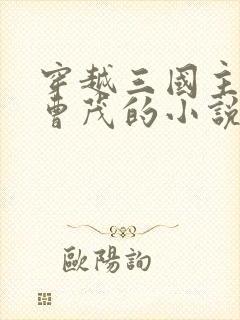 穿越三国主角叫曹茂的小说