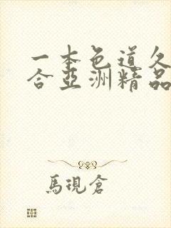 一本色道久久综合亚洲精品高封面