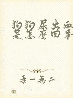 狗狗尿出血液体是怎么回事