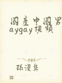 国产中国男男gaygay视频封面