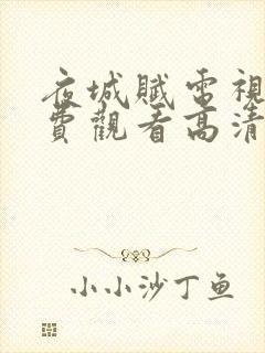 夜城赋电视剧免费观看高清