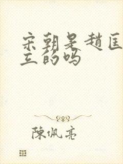 宋朝是赵匡胤建立的吗