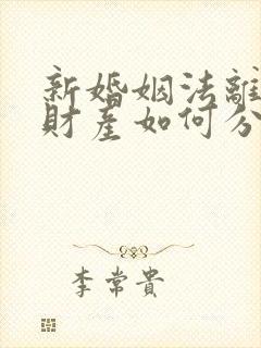 新婚姻法离婚后财产如何分割