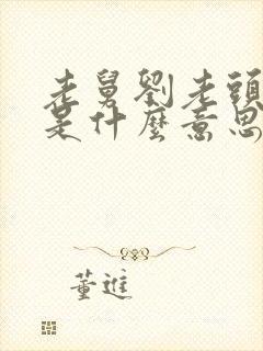 老舅刘老头结局是什么意思封面