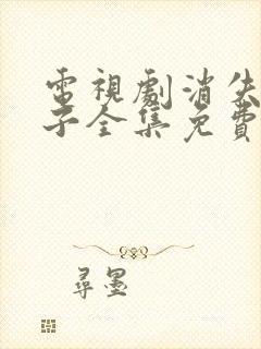 电视剧消失的孩子全集免费观看