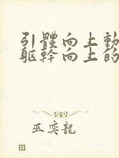 引体向上动作拉躯干向上的主要肌肉