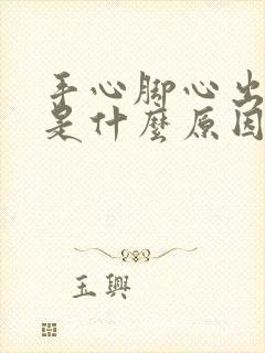 手心脚心出冷汗是什么原因引起的