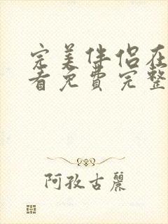 完美伴侣在线观看免费完整观看封面