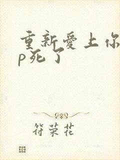 重新爱上你副cp死了