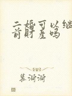 二婚可以继承婚前财产吗