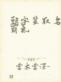 朝字辈取名男孩霸气