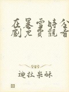 在暴雪时分电视剧免费观看封面