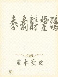 夫妻离婚孩子能分割财产吗封面