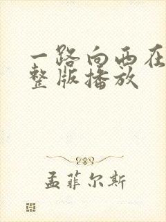 一路向西在线完整版播放