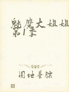 魅魔大姐姐动漫第1季