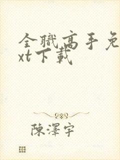 全职高手免费txt下载