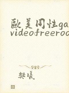 欧美同性gayvideofreeroom封面