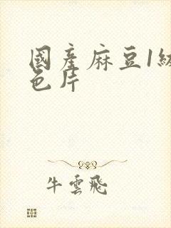 国产麻豆1级黄色片