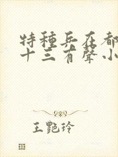 特种兵在都市夜十三有声小说