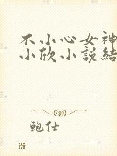 不小心女神女友小欣小说结局封面