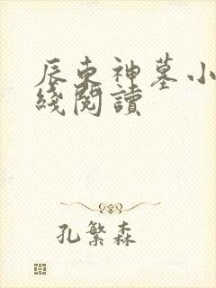 辰东神墓小说在线阅读