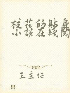 校花的贴身高手小说在线阅读免费封面