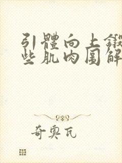 引体向上锻炼哪些肌肉图解