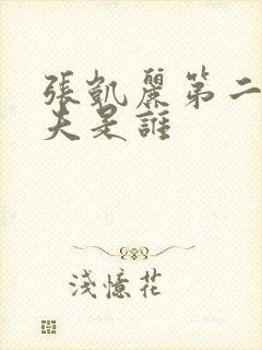 张凯丽第二任丈夫是谁