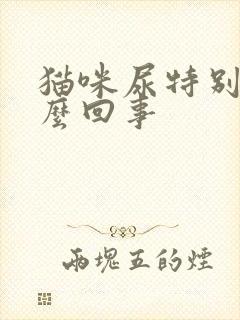 猫咪尿特别黄怎么回事封面