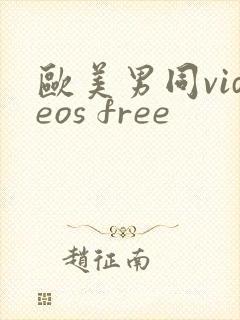 欧美男同videos free