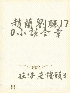 赵兰刘聪1750小说全章