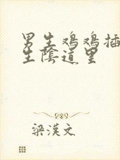 男生鸡鸡插入女生阴道里