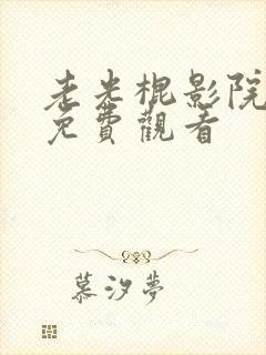 老光棍影院在线免费观看