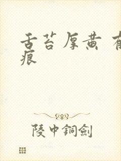 舌苔厚黄 有齿痕