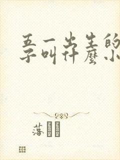 五一出生的女孩子叫什么小名好听