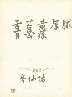 舌苔黄厚腻两侧有齿痕