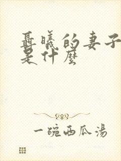 聂曦的妻子结局是什么