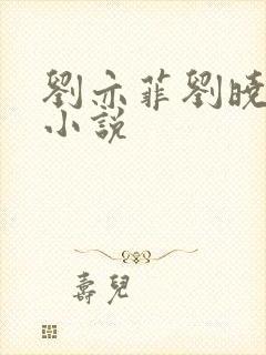 刘亦菲刘晓莉的小说