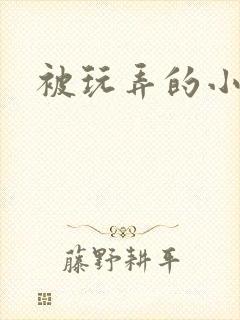 被玩弄的小说