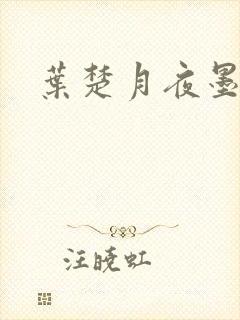叶楚月夜墨封面