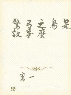 惊弓之鸟是寓言故事么封面