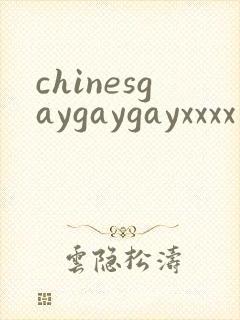 chinesgaygaygayxxxx