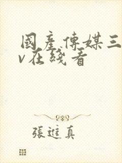 国产传媒三级av在线看