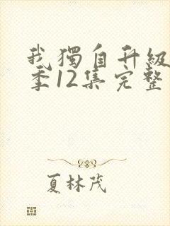 我独自升级第二季12集完整版观看