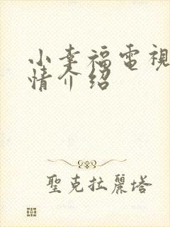 小幸福电视剧剧情介绍