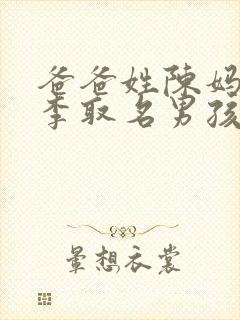 爸爸姓陈妈妈姓李取名男孩