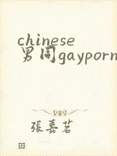 chinese男同gayporn