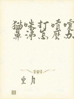 猫咪打喷嚏流黄鼻涕怎么办封面