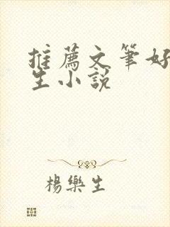 推荐文笔好的重生小说