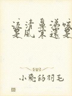 流清鼻涕咳黄痰是风寒还是风热